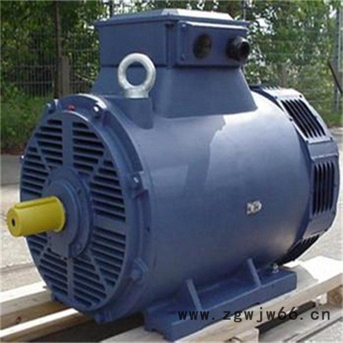 热卖荷兰DUTCHI中高压电机图5