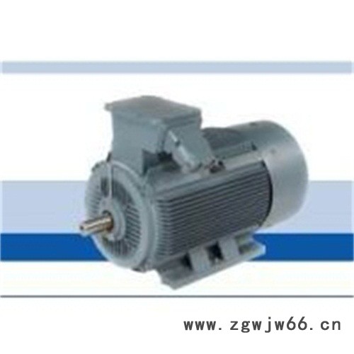 热卖荷兰DUTCHI中高压电机图3