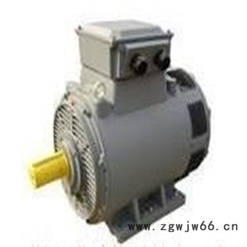 热卖荷兰DUTCHI中高压电机图4