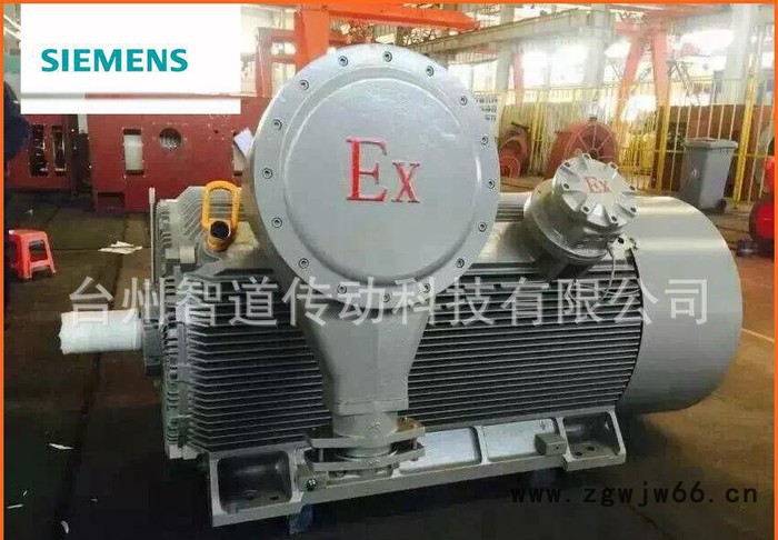 Siemens/西门子防爆电机1MT0 2-200KW|西门图3