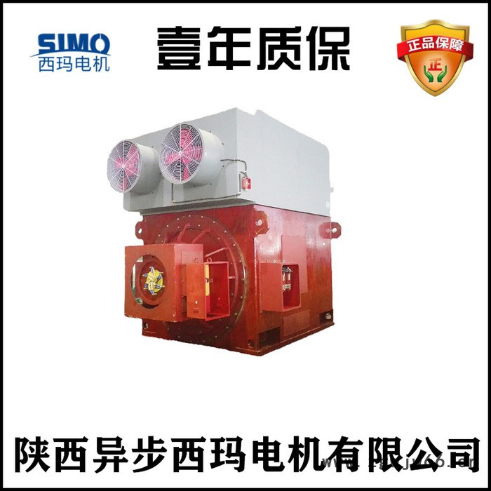 西玛电机销售YRKK4502-8G-250KW-6KV电压高原高压电机图2