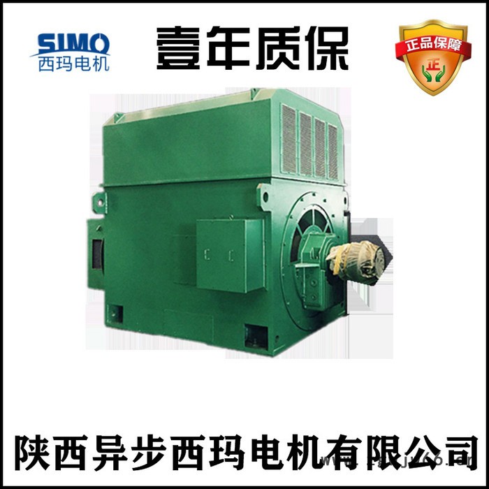 西玛电机销售YRKK4502-8G-250KW-6KV电压高原高压电机图3