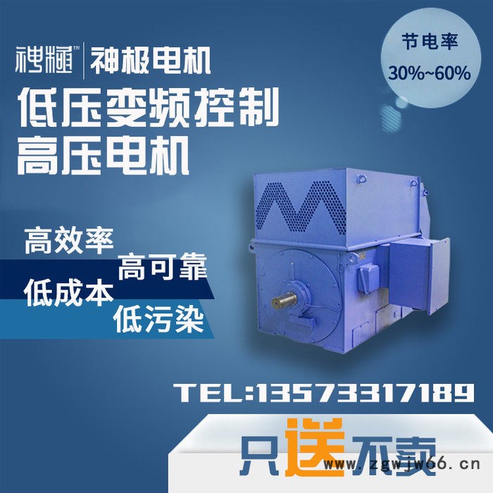 神极 高压电机 YRWS450-4 250KW 节能电机 无刷电机图6