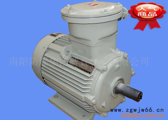 YB2YB系列防爆电机YB132S1-2 5.5KW 300图2