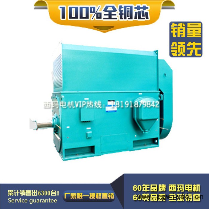 YKK7108-10 1400KW 10KV IP54 泰富西玛 西玛YKK 10KV高压电机图2