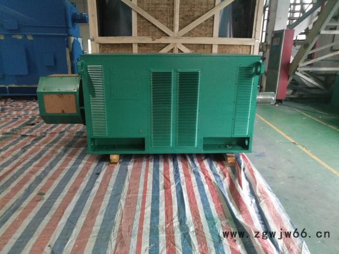 西安西玛电机YKS4506-6 500KW 6KV IP54高压电机图3