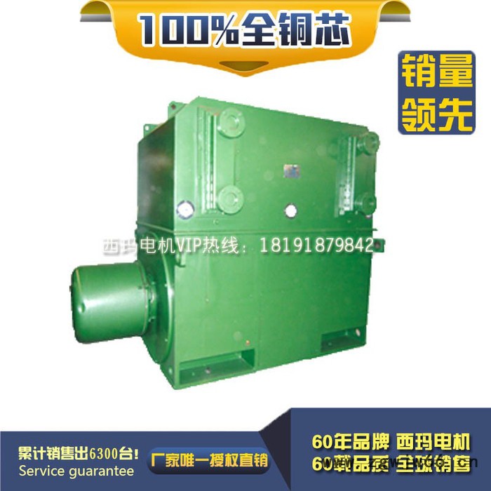 西安西玛电机YRKS5602-12 315KW 10KV IP54绕线型高压电机图2