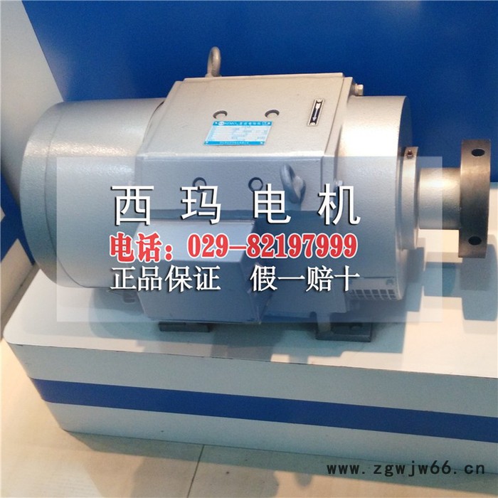 西安西玛ZTP-62K 9KW 79V 1000R铁路用直流电机 铁路电机图3