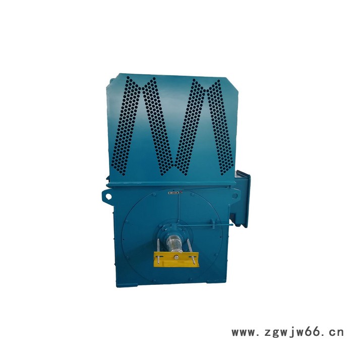 新四达YKK4506-4-560KW 10KV 三相异步高压电动机 YKK水泵电机 高压电机图2