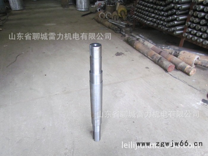 Y225M 振动电机轴承 雷霆牌不锈钢电机轴 微传动直流电机轴图2