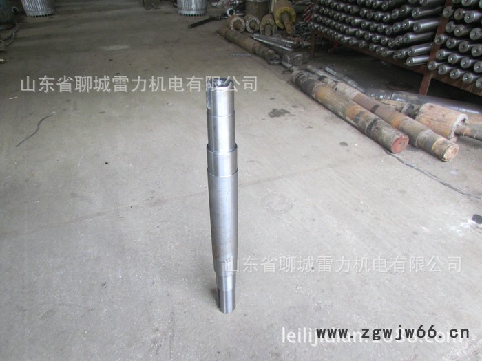 Y225M 振动电机轴承 雷霆牌不锈钢电机轴 微传动直流电机轴图3