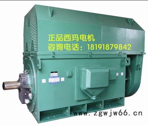 YKK7102-10 1400KW 6KV IP54 西玛YKK 6KV高压电机图3