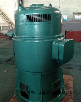 西玛牌JSL-12-2 185KW 3000V立式水泵风机用JS鼠笼型高压电机图2