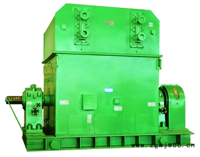 西安西玛电机YKS5006-12 280KW 6KV IP54高压电机图2