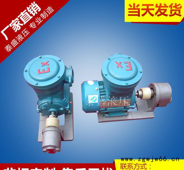 WBZ-B63FB齿轮油泵防爆电机组 卧式铸铁电动齿轮泵图2