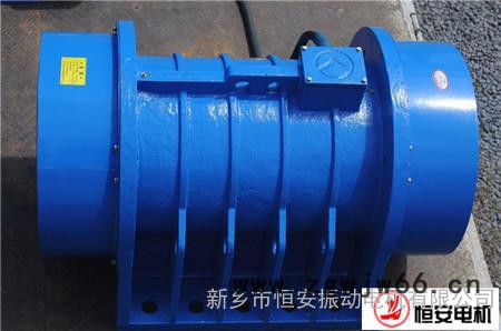 HAN-XVM100-6振动电机图3