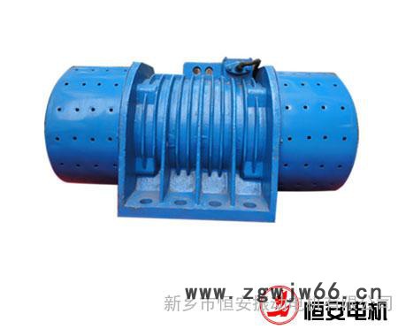 HAN-XVM100-6振动电机图2