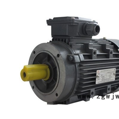 六安江淮电机YE3-80-160系列铝壳电机超高效三相异步电动机风机水泵稀土永磁伺服电动机变频器南阳电动机防爆电机