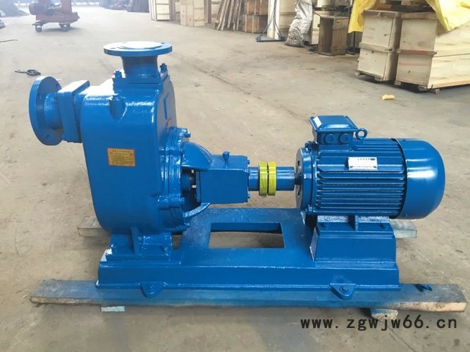 厂家批发ZX普通型防爆自吸泵 铸铁材质配防爆电机 经久耐用50ZX20-75图2