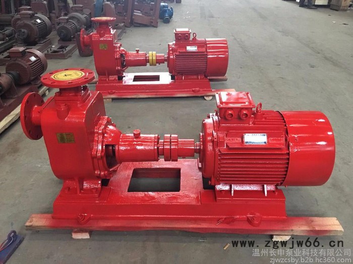 厂家批发ZX普通型防爆自吸泵 铸铁材质配防爆电机 经久耐用50ZX20-75图4