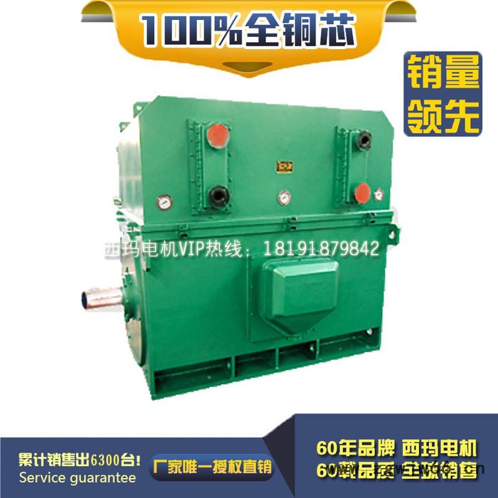 西安西玛电机YKS8004-6 5000KW 6KV IP54高压电机图2
