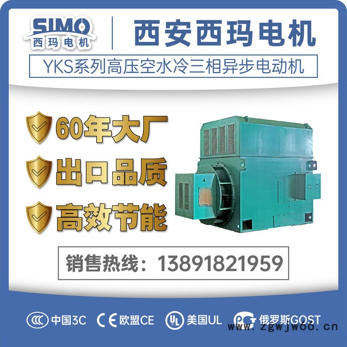 厂价直销高压YKS4507-4 800KW 6KV IP54 高压电机 空水冷电机图5