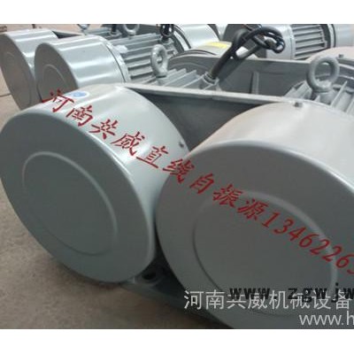 WHZY-2*20-4   2*2kw振动电机 给料机配直线自振源