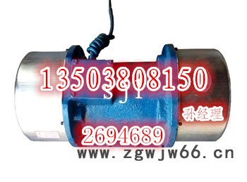 欢迎来电订购XVMA-40-6振动电机图2