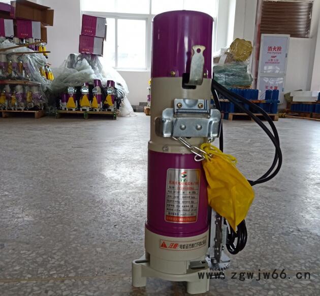 北京北京交直流电机富赢300KG图3