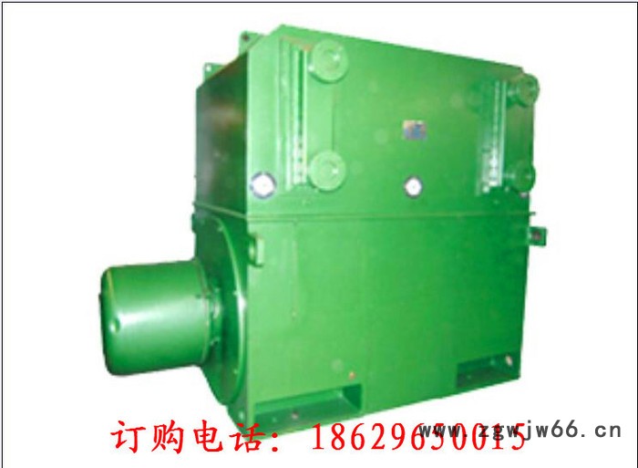 西安西玛电机YKS4507-8 355KW 6KV IP54高压电机图3