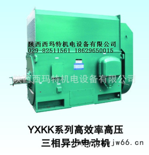 西安西玛电机YKS5004-2 1000KW 10KV IP54高压电机图2