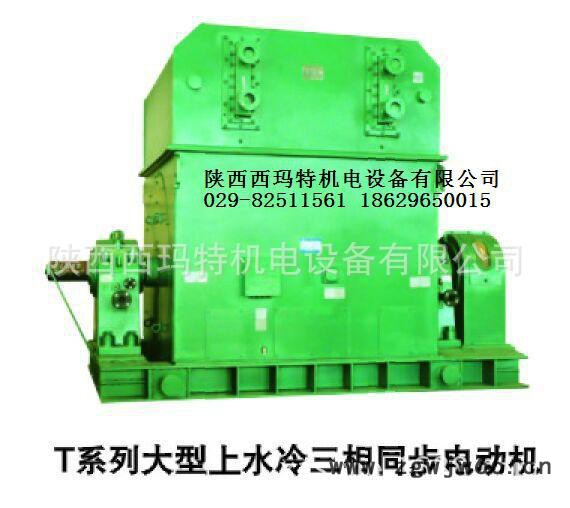 西安西玛电机YKS5004-2 1000KW 10KV IP54高压电机图3