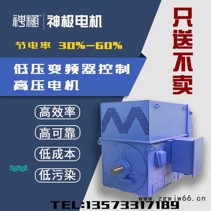 高压电机 神极 YRWS450-4 280KW 节能电机 无刷双馈电机图4