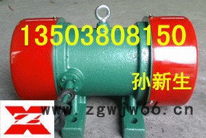 厂家提供YZS-10-2振动电机图2