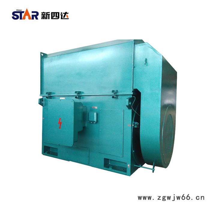 新四达YKK系列三相异步 6KV/10KV高压电机图2