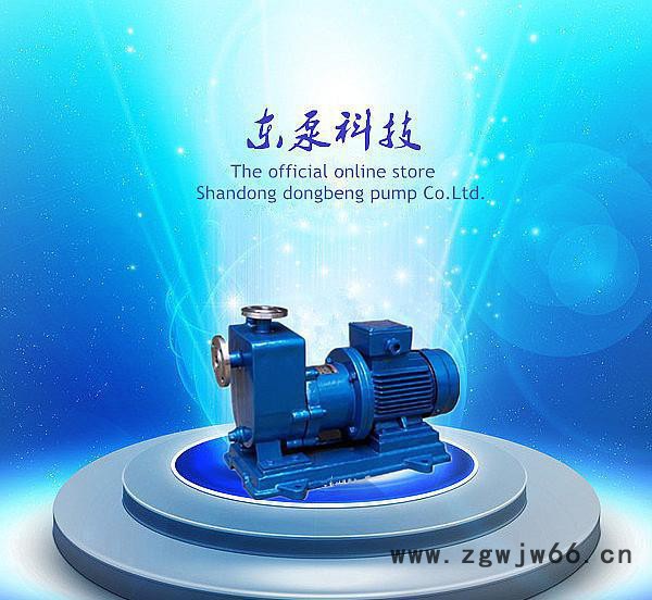 山东东泵CYZ自吸式离心油泵石化防爆电机泵50CYZ-A-3图2