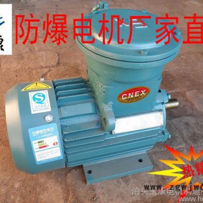 河北泊头玉康电机厂YB2系列防爆电机特价**YB2-801-2级0.75kw国标**铜线圈yb2隔爆电机