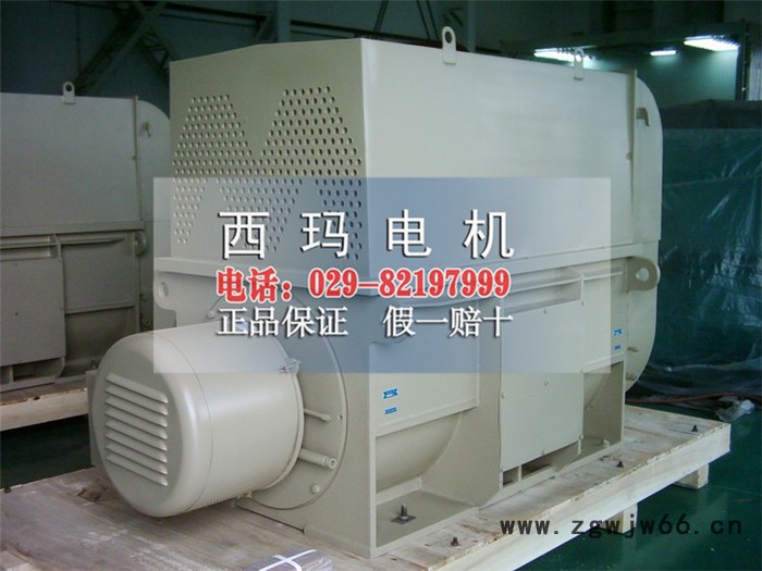 YRKS7101-12西玛牌高压电动机1120KW   6KV大型高压电机图4