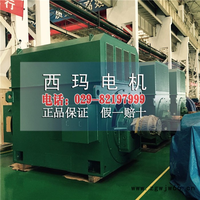 YRKS7101-12西玛牌高压电动机1120KW   6KV大型高压电机图2