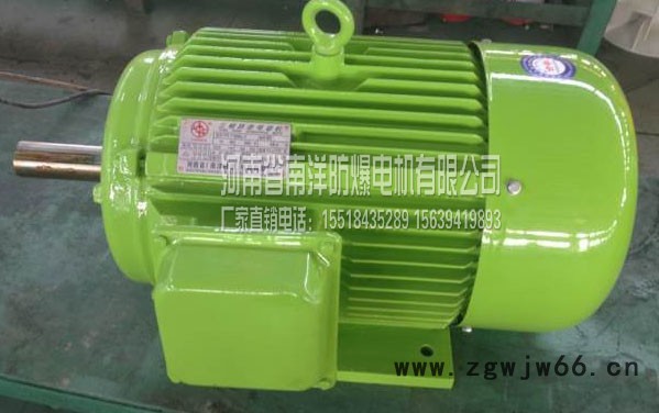 供应南洋防爆电机YBS-40-4YBS40-4的价格图4