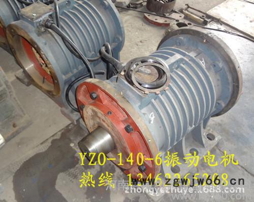 WHZY-2*20-4   2*2kw振动电机 给料机配直线图2