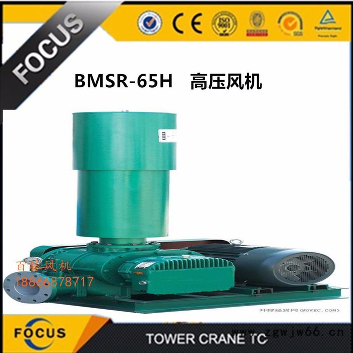 防爆电机罗茨风机-山东百脉鼓风机质量保证图2