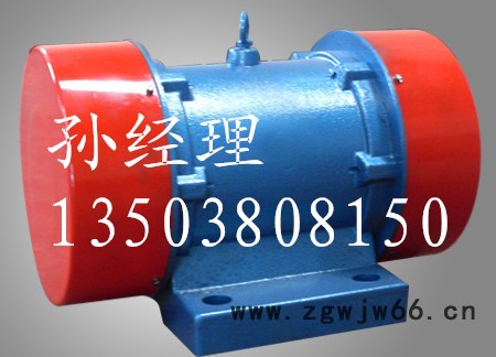 欢迎来电订购XVMA-8-4振动电机图2