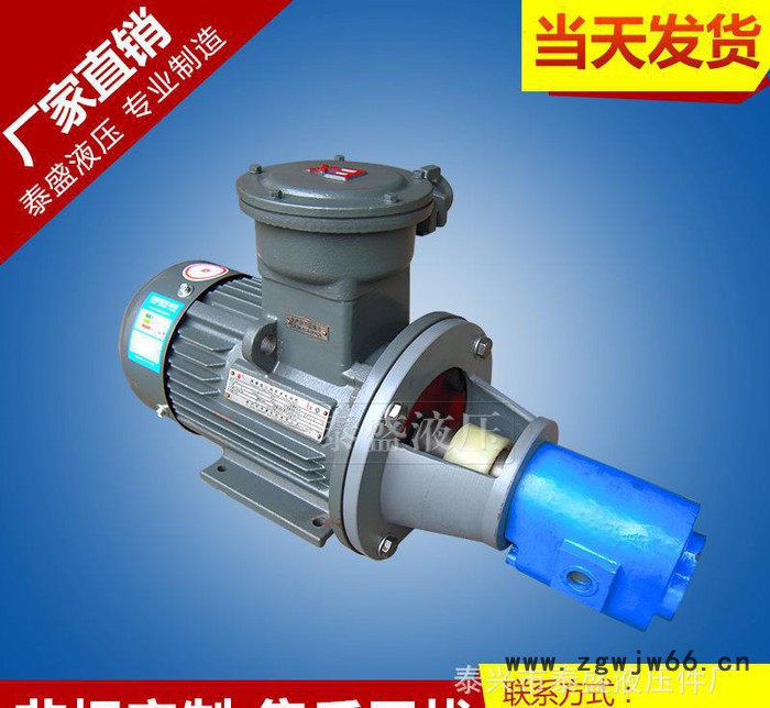 泰盛直销WBZ-B100FB齿轮油泵防爆电机组 卧式电动管道