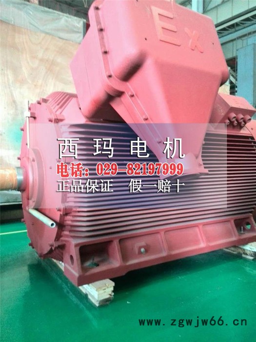 YB2-5004-8 560KW高压电机西安西玛电机图2
