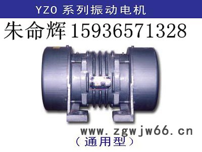 供应YZDP-8-4振动电机 功率0.4KW 朱命辉防爆振动电机直销图3