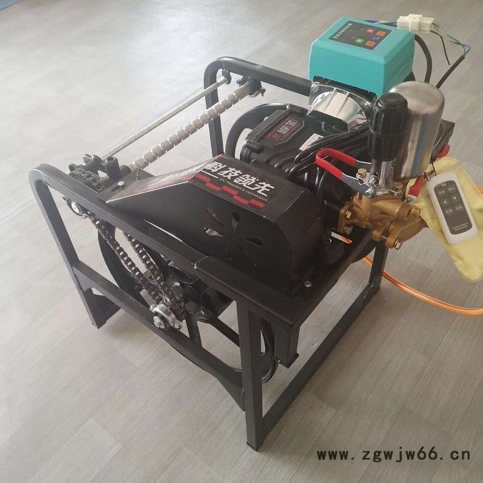 电瓶带动的喷雾器 园林绿化药物喷洒机 直流电机大棚蔬菜打药机图2