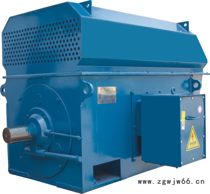 供应南洋 高压电机  质量保证图3