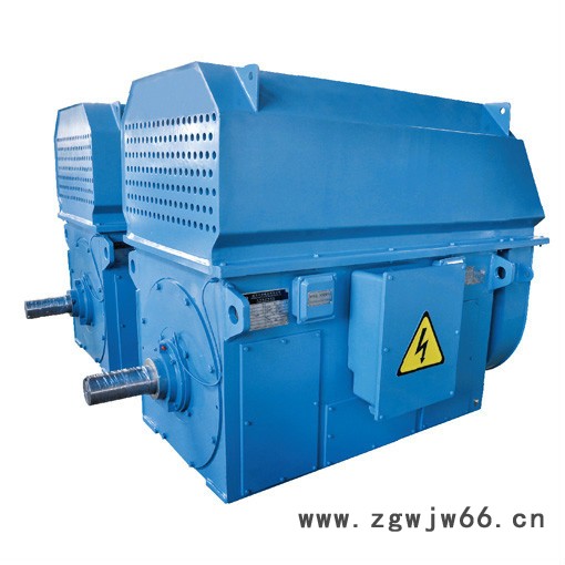 供应南洋 高压电机  质量保证图2