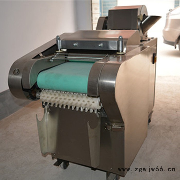 家用电多功能切菜机  不锈钢机头菜馅机  自走式输送带含国标铜芯电机图2